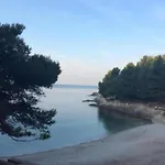 In Near The Sea