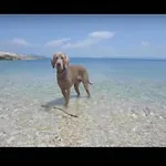 شقة In Near The Sea فرسي