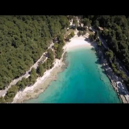 In Near The Sea *
