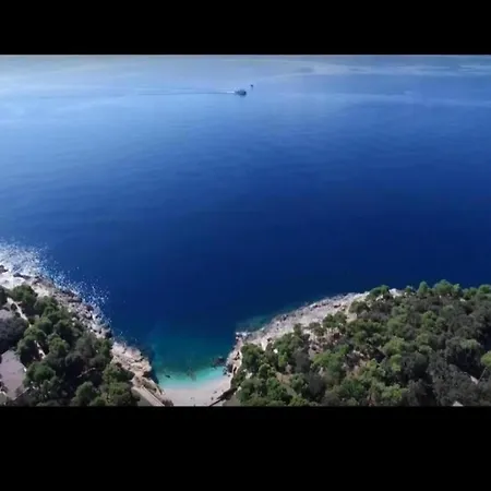 Daire In Near The Sea *