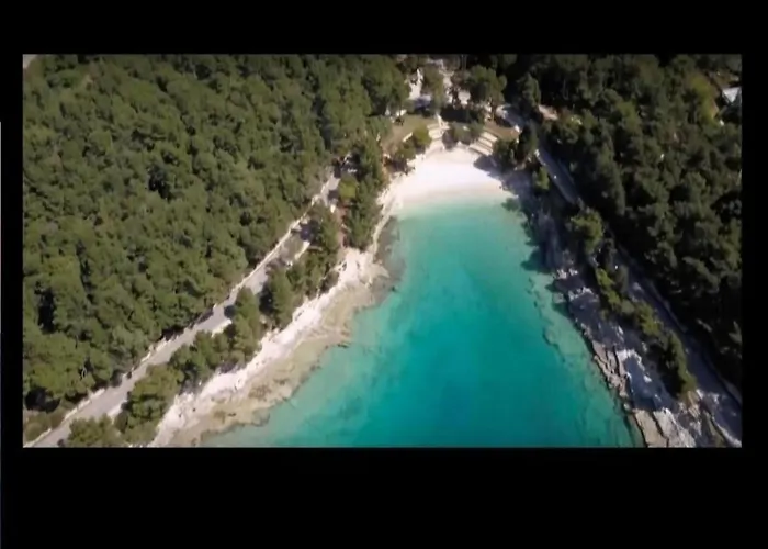 In Near The Sea *