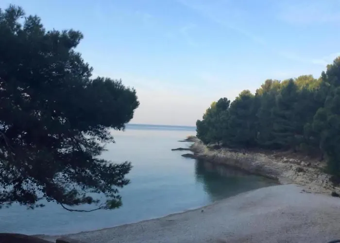 In Near The Sea