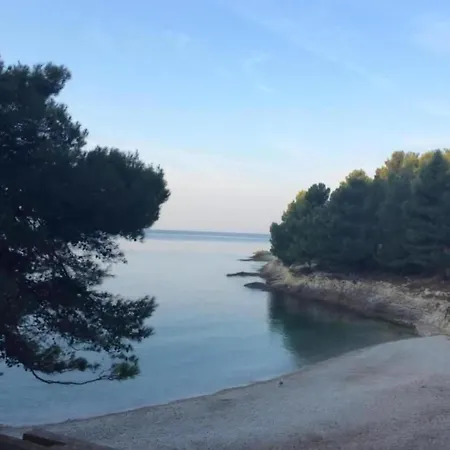In Near The Sea